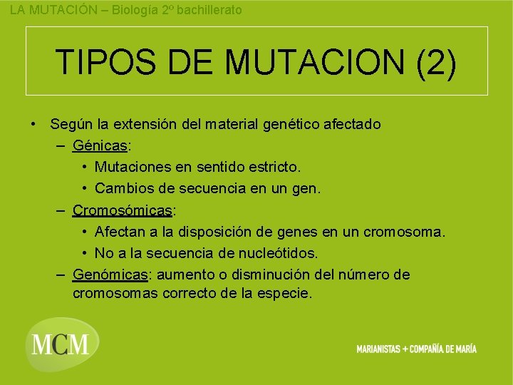 LA MUTACIÓN – Biología 2º bachillerato TIPOS DE MUTACION (2) • Según la extensión