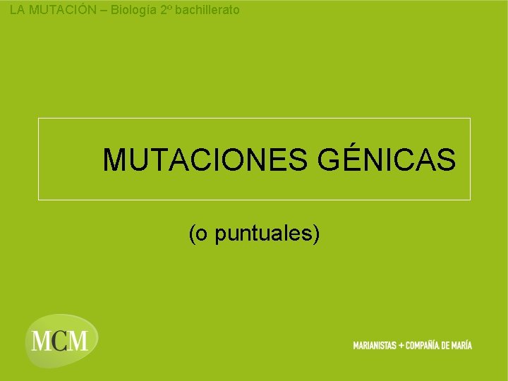 LA MUTACIÓN – Biología 2º bachillerato MUTACIONES GÉNICAS (o puntuales) 