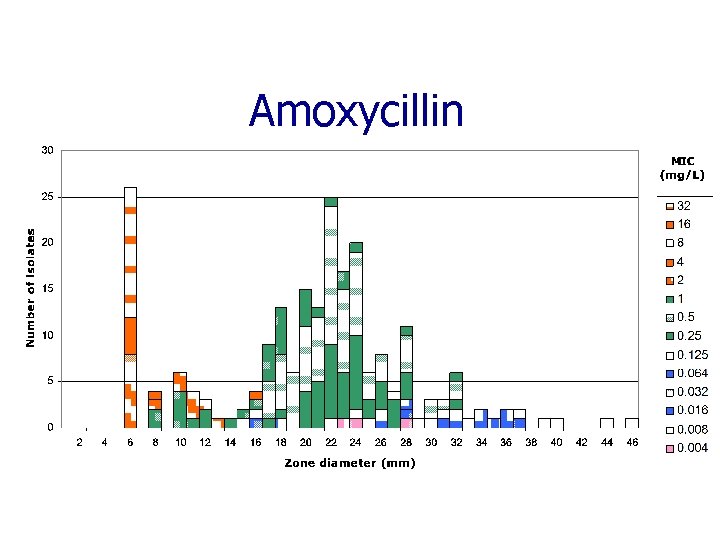 Amoxycillin 