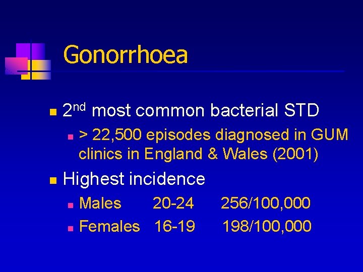Gonorrhoea n 2 nd most common bacterial STD n n > 22, 500 episodes