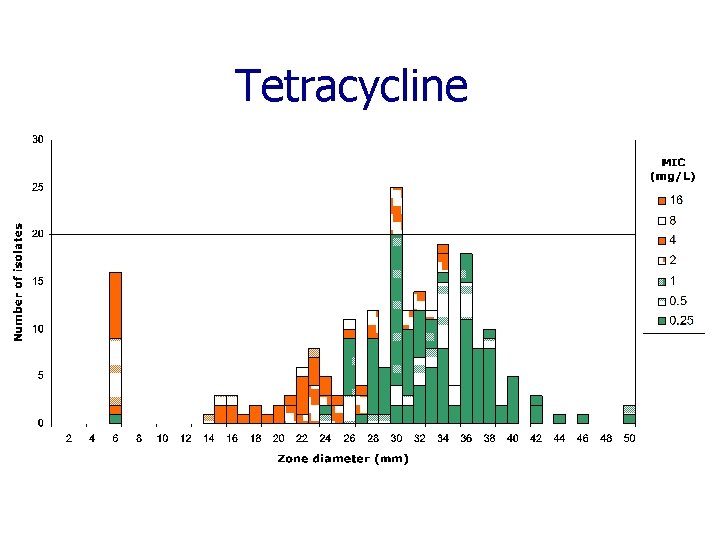 Tetracycline 