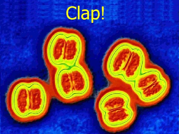 Clap! 