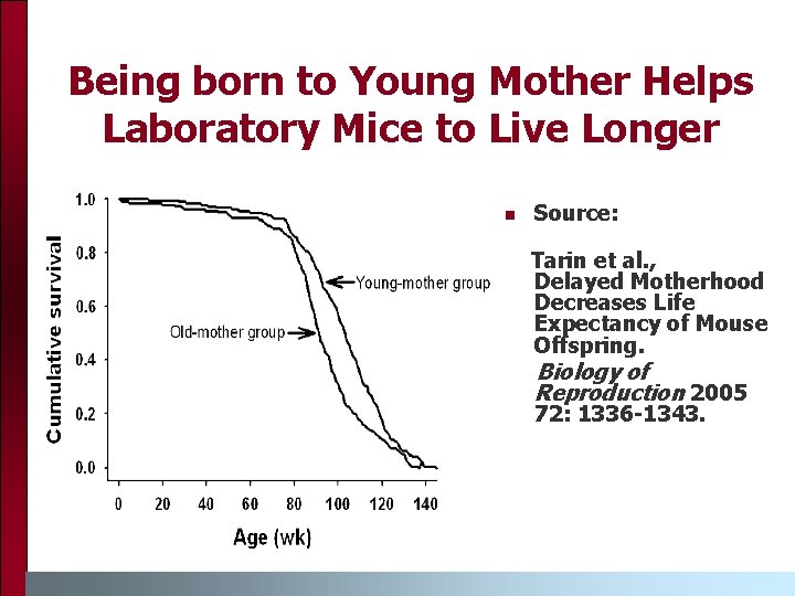 Being born to Young Mother Helps Laboratory Mice to Live Longer n Source: Tarin