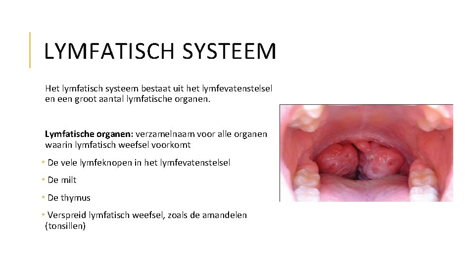 LYMFATISCH SYSTEEM Het lymfatisch systeem bestaat uit het lymfevatenstelsel en een groot aantal lymfatische