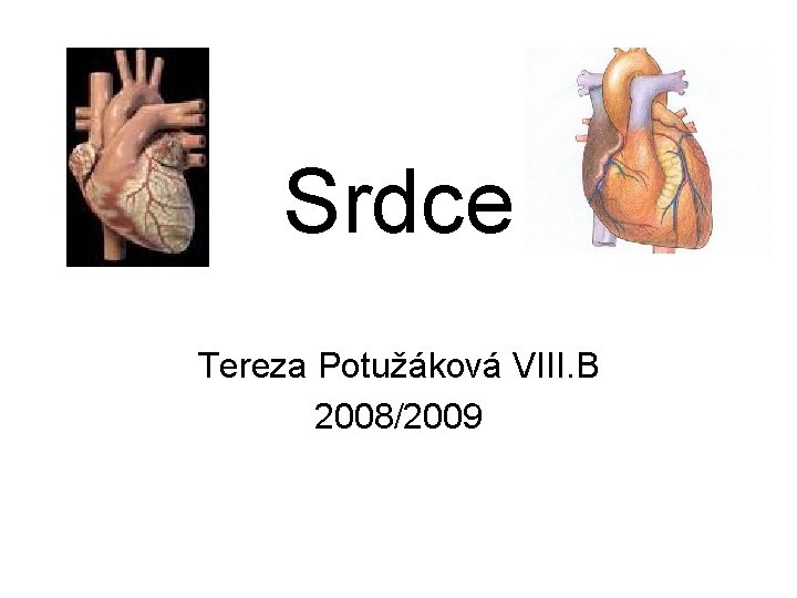 Srdce Tereza Potužáková VIII. B 2008/2009 