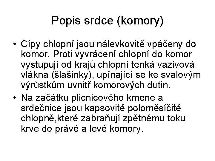 Popis srdce (komory) • Cípy chlopní jsou nálevkovitě vpáčeny do komor. Proti vyvrácení chlopní