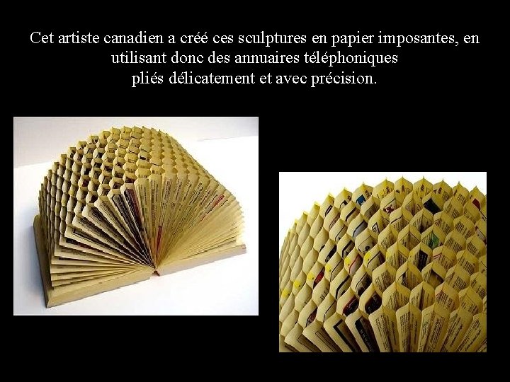 Cet artiste canadien a créé ces sculptures en papier imposantes, en utilisant donc des