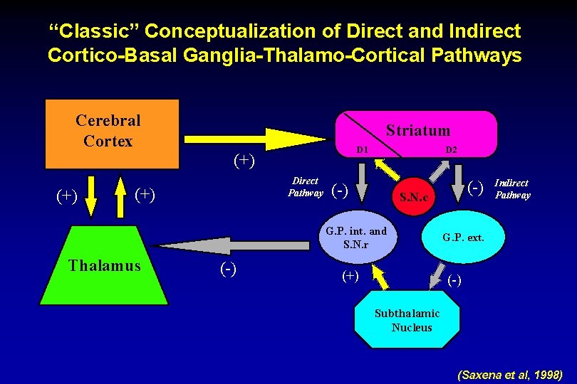 “Classic” Conceptualization of Direct and Indirect Cortico-Basal Ganglia-Thalamo-Cortical Pathways Cerebral Cortex Striatum D 1