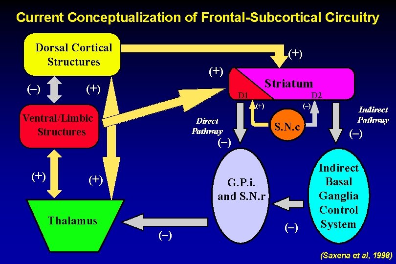 Current Conceptualization of Frontal-Subcortical Circuitry Dorsal Cortical Structures (–) (+) (+) Striatum D 1