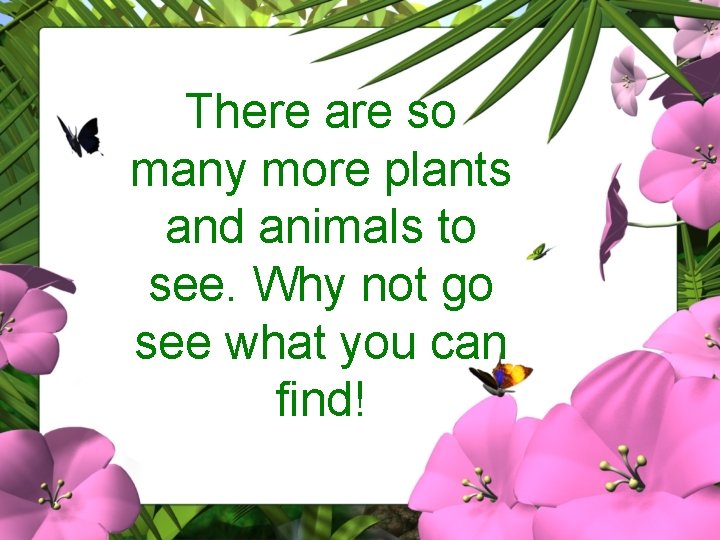There are so many more plants and animals to see. Why not go see