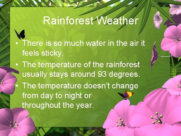 Rainforest Weather • There is so much water in the air it feels sticky.