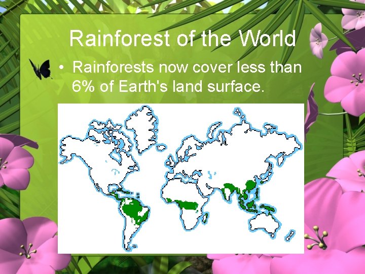 Rainforest of the World • Rainforests now cover less than 6% of Earth's land