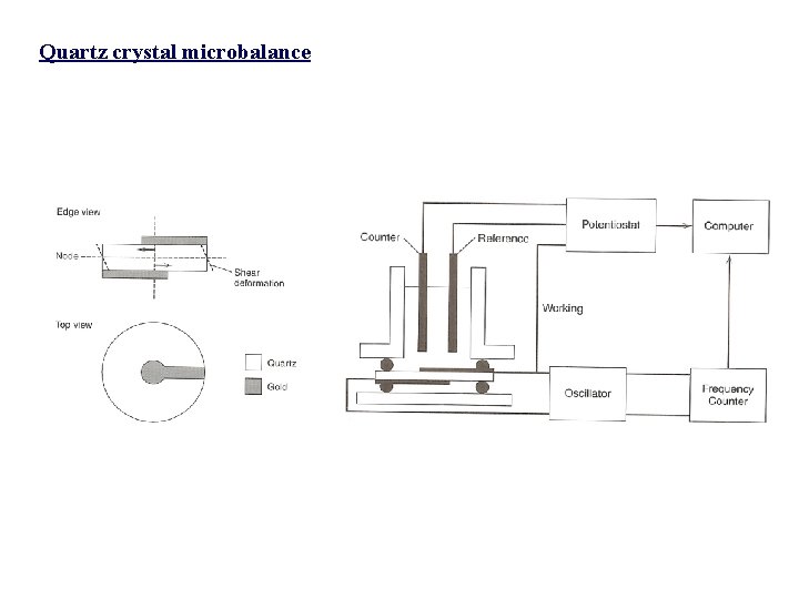 Quartz crystal microbalance 