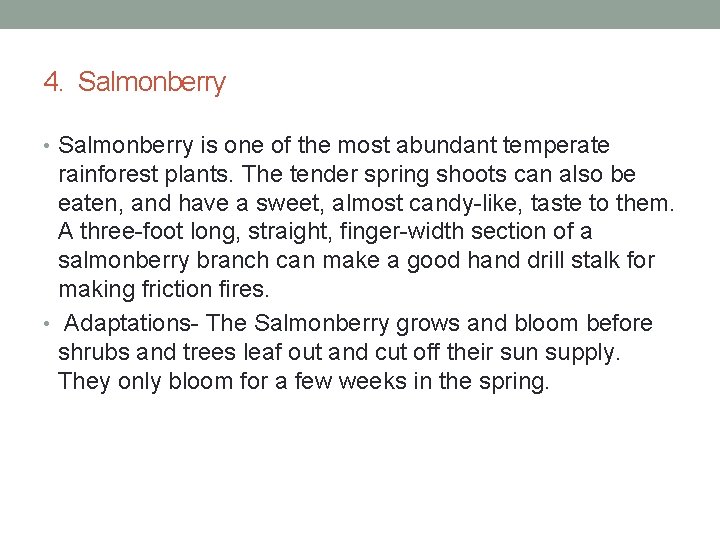 4. Salmonberry • Salmonberry is one of the most abundant temperate rainforest plants. The