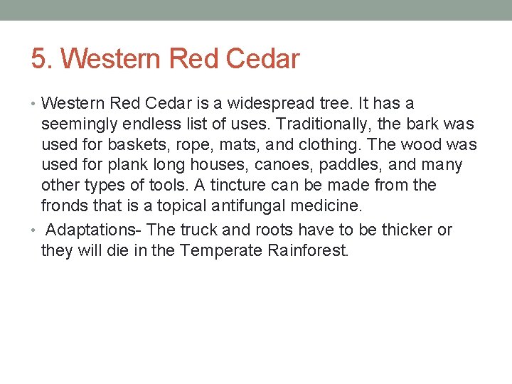 5. Western Red Cedar • Western Red Cedar is a widespread tree. It has
