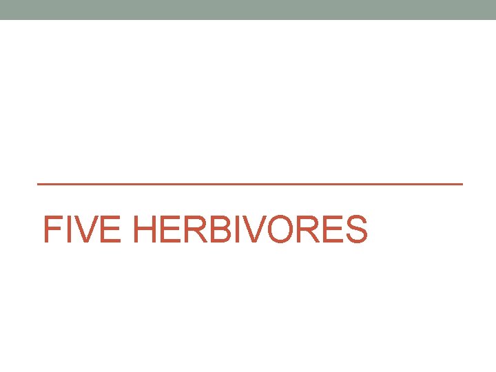 FIVE HERBIVORES 