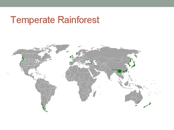 Temperate Rainforest 