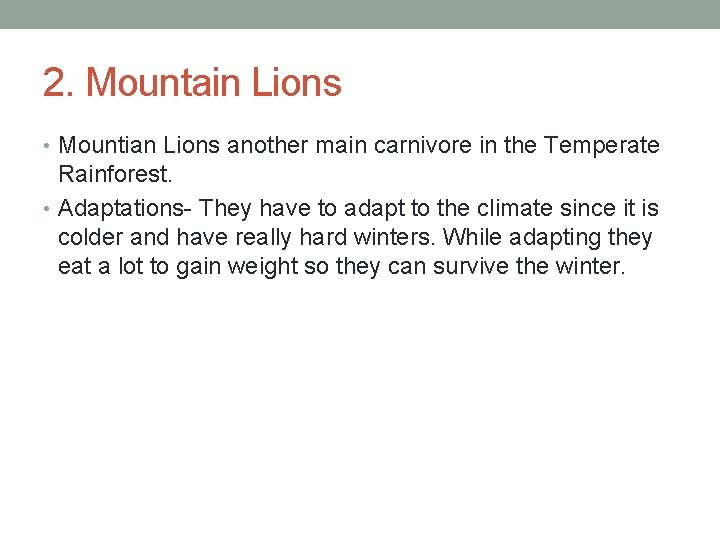 2. Mountain Lions • Mountian Lions another main carnivore in the Temperate Rainforest. •