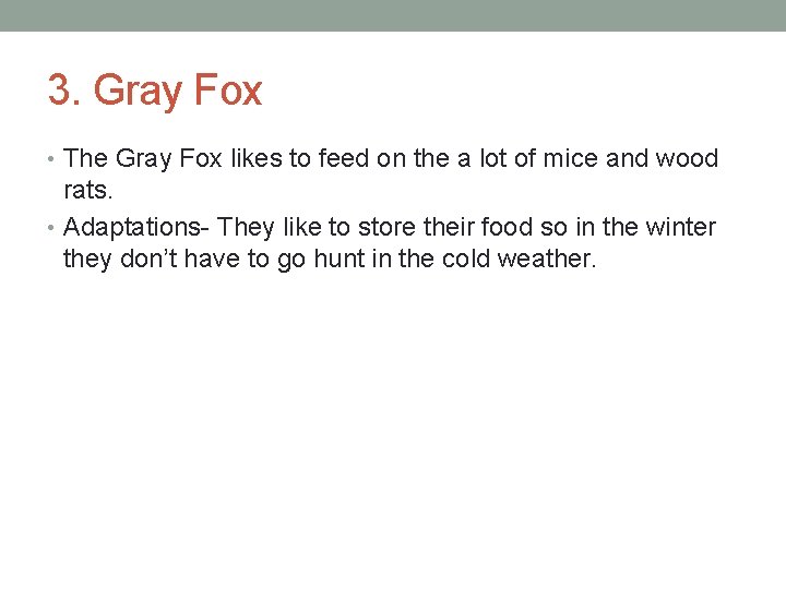 3. Gray Fox • The Gray Fox likes to feed on the a lot