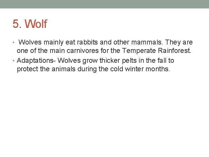 5. Wolf • Wolves mainly eat rabbits and other mammals. They are one of