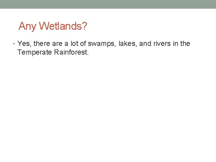 Any Wetlands? • Yes, there a lot of swamps, lakes, and rivers in the