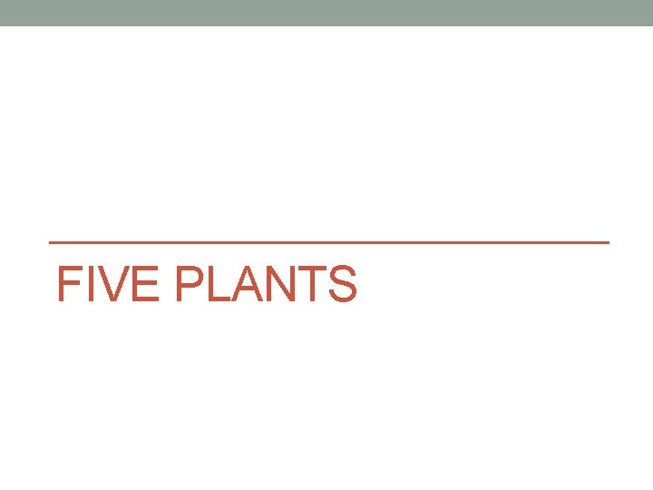 FIVE PLANTS 