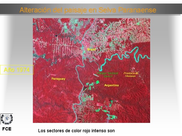 Alteración del paisaje en Selva Paranaense Año 1974 FCE Los sectores de color rojo