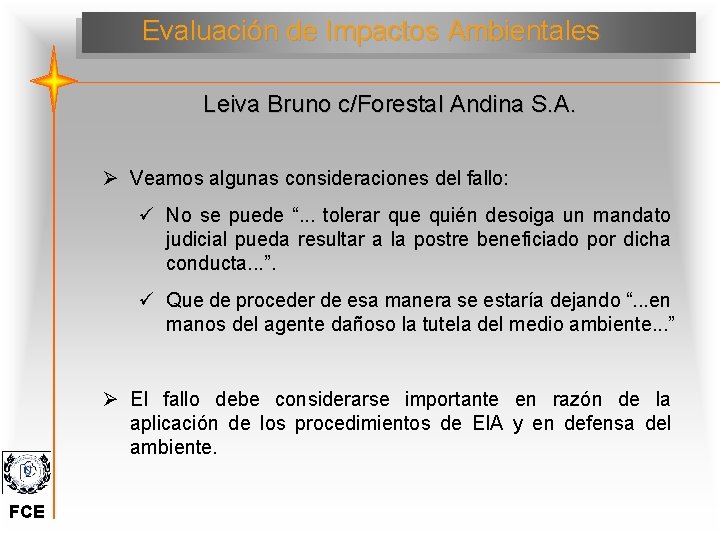Evaluación de Impactos Ambientales Leiva Bruno c/Forestal Andina S. A. Ø Veamos algunas consideraciones