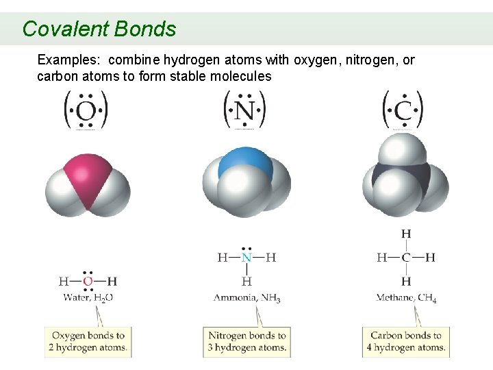 Covalent Bonds Examples: combine hydrogen atoms with oxygen, nitrogen, or carbon atoms to form