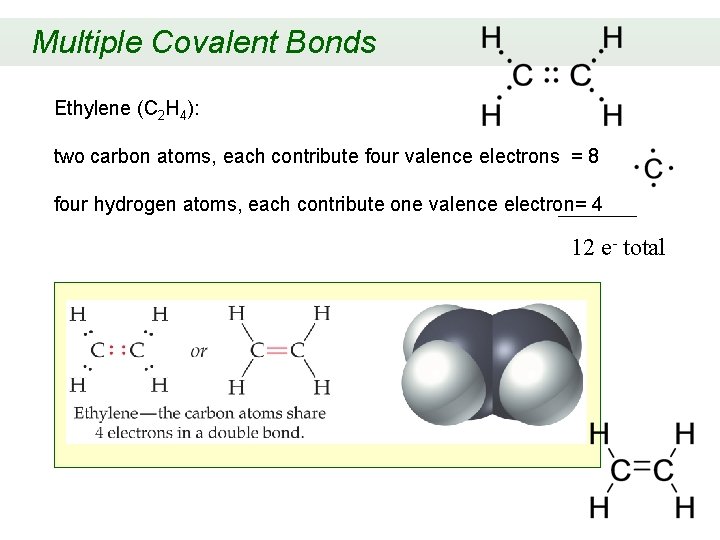 Multiple Covalent Bonds Ethylene (C 2 H 4): two carbon atoms, each contribute four