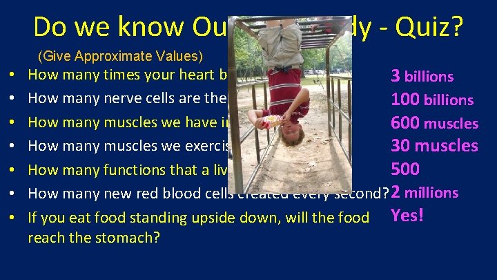 Do we know Our Own Body - Quiz? (Give Approximate Values) • • How