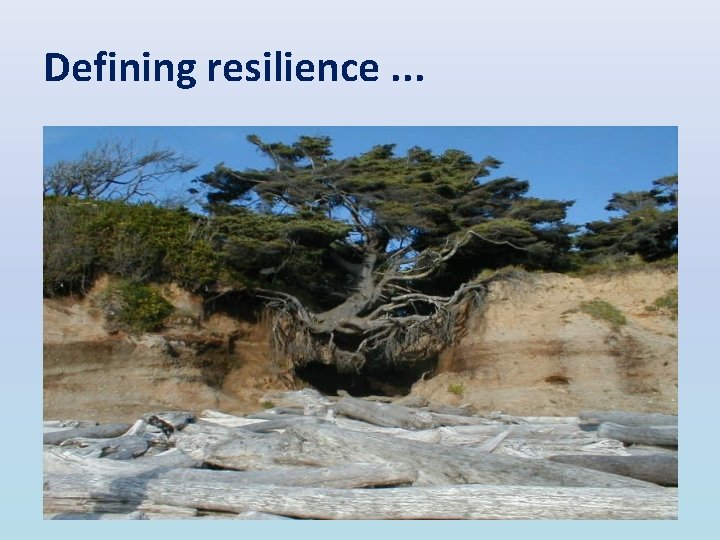Defining resilience. . . 