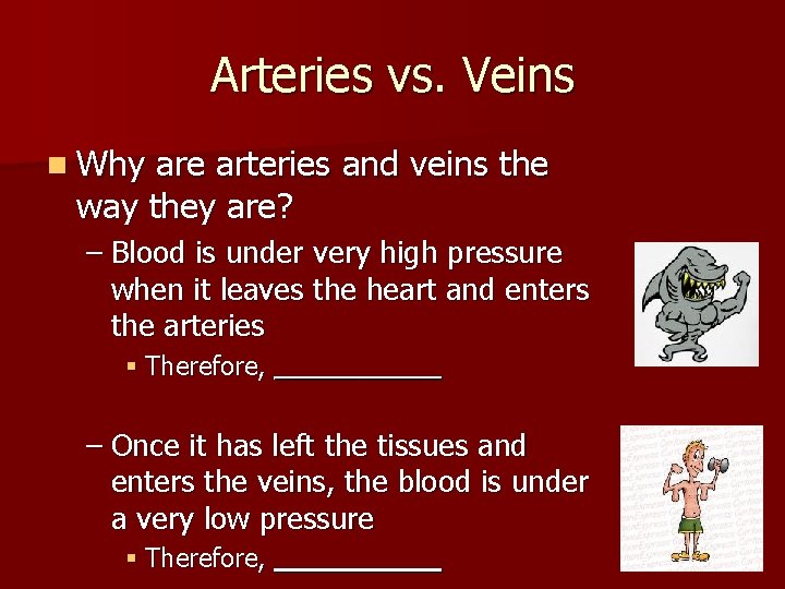 Arteries vs. Veins n Why are arteries and veins the way they are? –