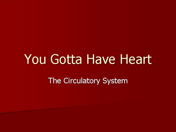 You Gotta Have Heart The Circulatory System 