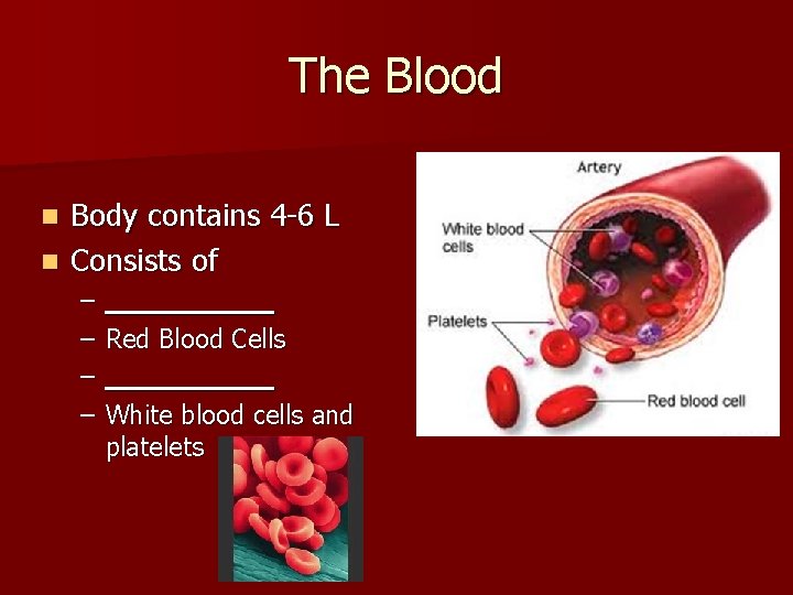 The Blood Body contains 4 -6 L n Consists of n – – _____