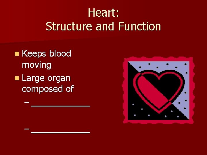 Heart: Structure and Function n Keeps blood moving n Large organ composed of –