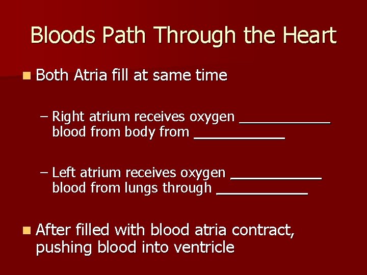 Bloods Path Through the Heart n Both Atria fill at same time – Right