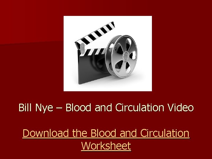 Bill Nye – Blood and Circulation Video Download the Blood and Circulation Worksheet 