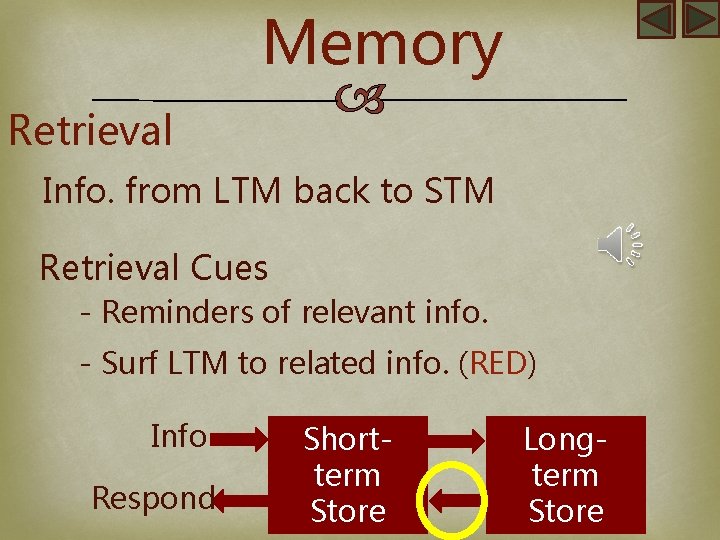Memory Retrieval Info. from LTM back to STM Retrieval Cues - Reminders of relevant