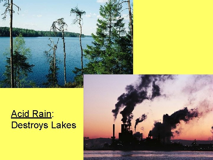 Acid Rain: Destroys Lakes 