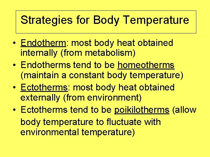 Strategies for Body Temperature • Endotherm: most body heat obtained internally (from metabolism) •