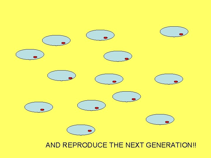 AND REPRODUCE THE NEXT GENERATION!! 