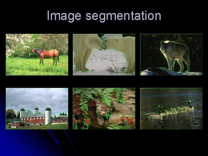 Image segmentation 