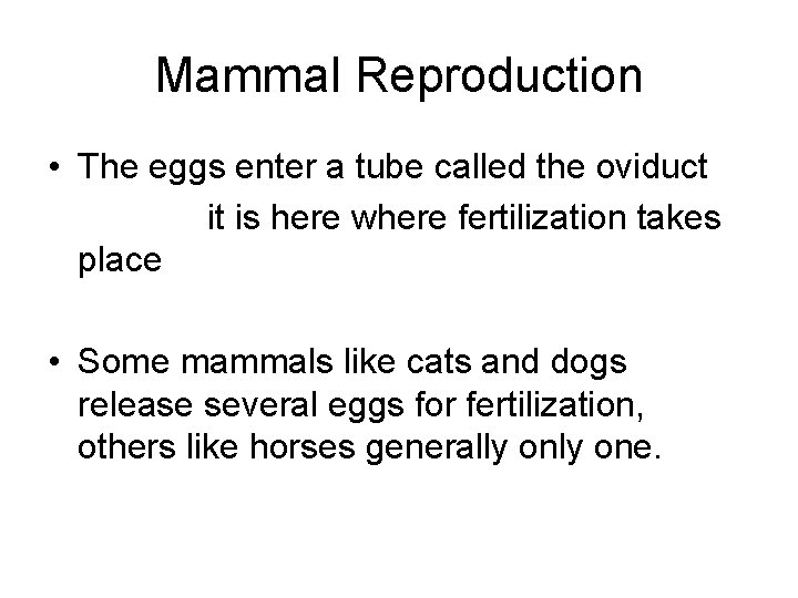 Mammal Reproduction • The eggs enter a tube called the oviduct it is here