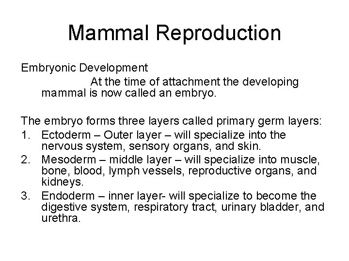 Mammal Reproduction Embryonic Development At the time of attachment the developing mammal is now