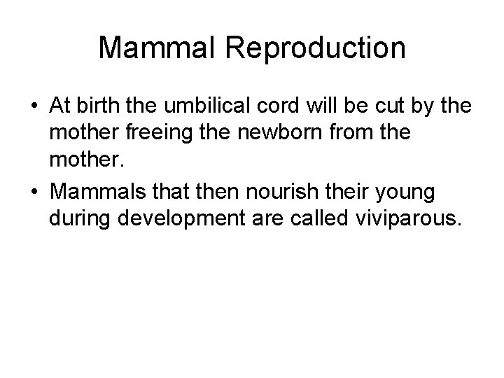 Mammal Reproduction • At birth the umbilical cord will be cut by the mother