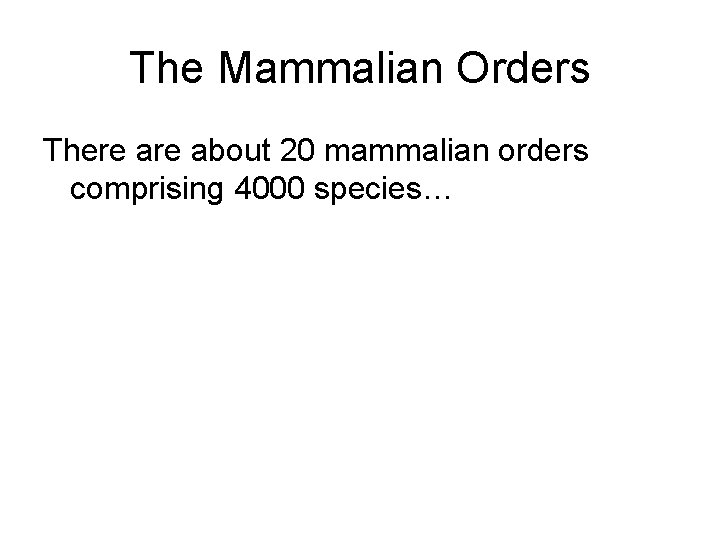 The Mammalian Orders There about 20 mammalian orders comprising 4000 species… 