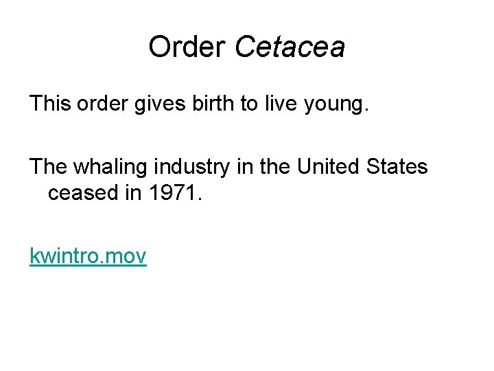 Order Cetacea This order gives birth to live young. The whaling industry in the