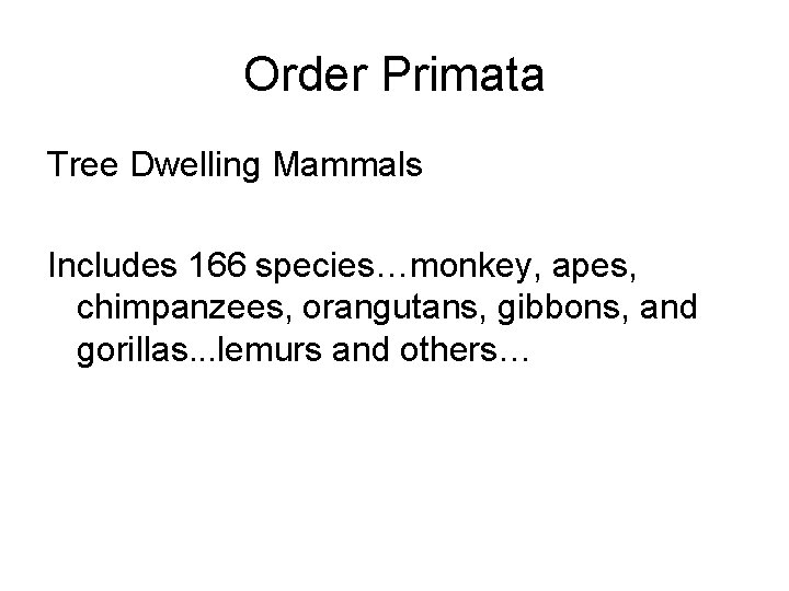 Order Primata Tree Dwelling Mammals Includes 166 species…monkey, apes, chimpanzees, orangutans, gibbons, and gorillas.