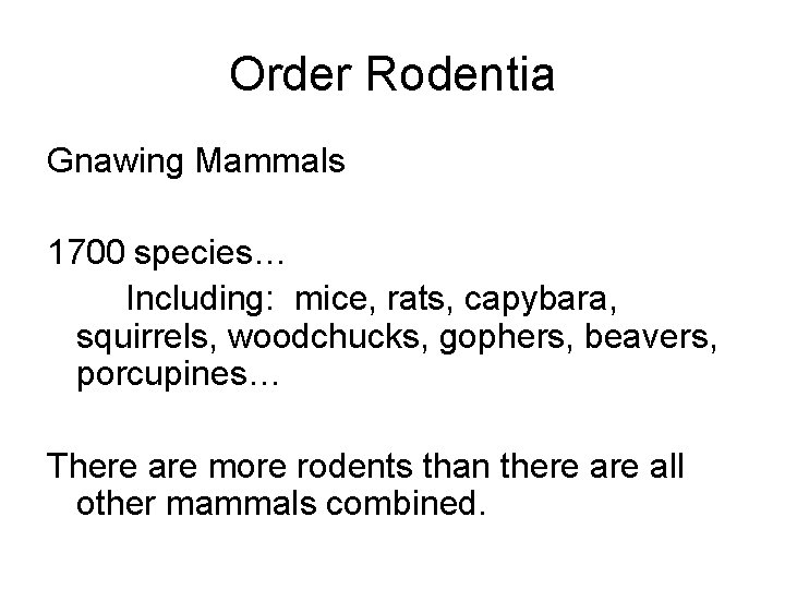 Order Rodentia Gnawing Mammals 1700 species… Including: mice, rats, capybara, squirrels, woodchucks, gophers, beavers,